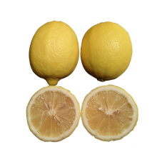 China Wholesale Top Quality Fresh Lemon In Bulk